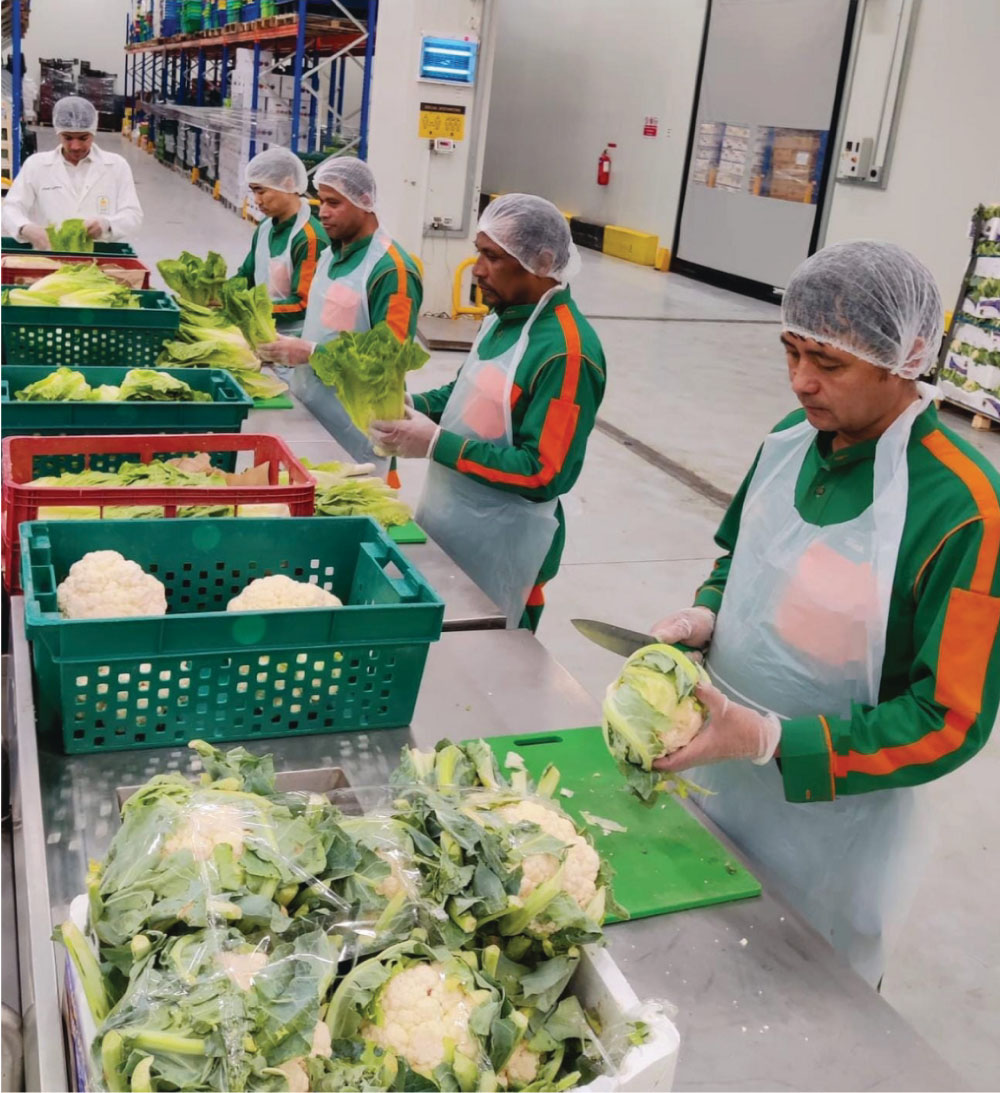 Quality Inspections 3 Quality Inspections 3