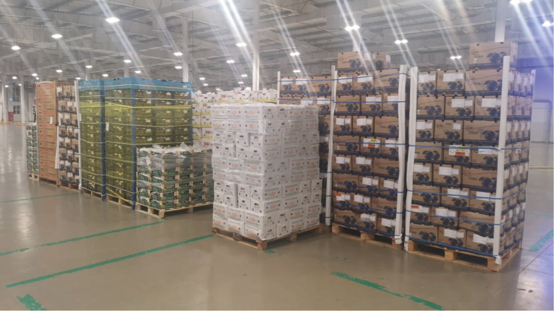 Sailiya Central Market 2 Sailiya Central Market 2